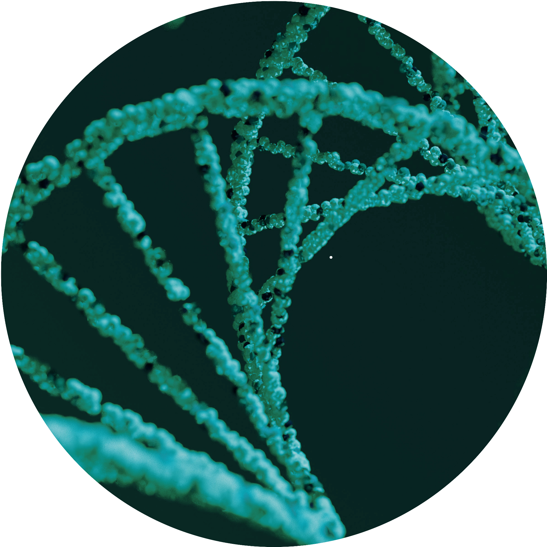 PERHORC logo